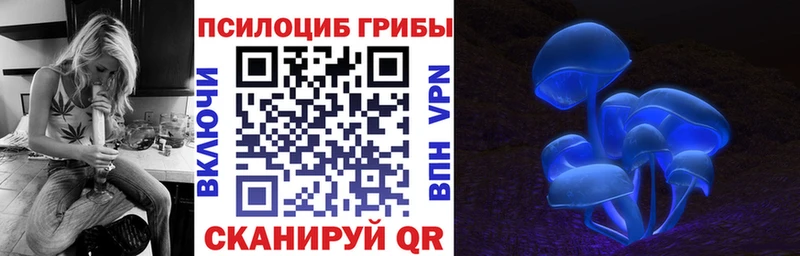 мега сайт  Курчатов  Галлюциногенные грибы Cubensis 